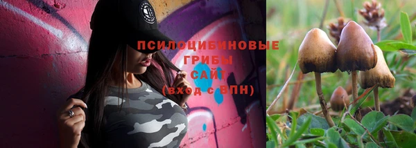 круглые Няндома