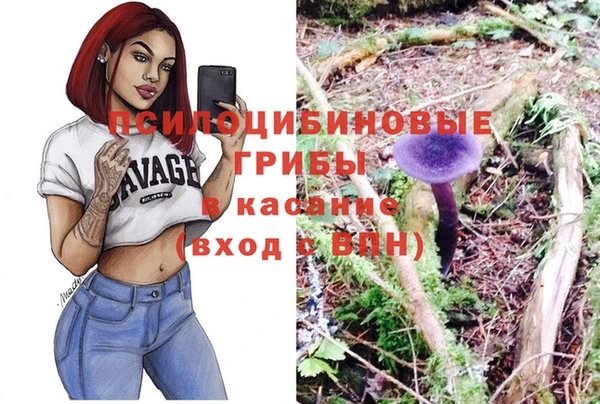 прущие крисы Новокубанск