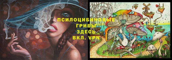 герыч Новозыбков