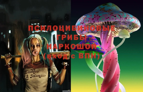 apvp Новодвинск
