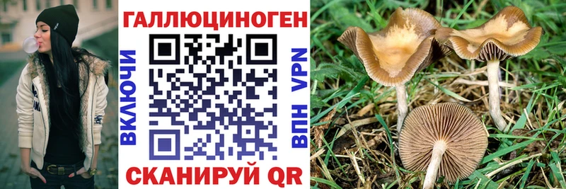Галлюциногенные грибы Cubensis  Сатка 