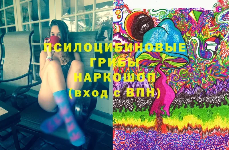 Псилоцибиновые грибы Psilocybine cubensis Сатка