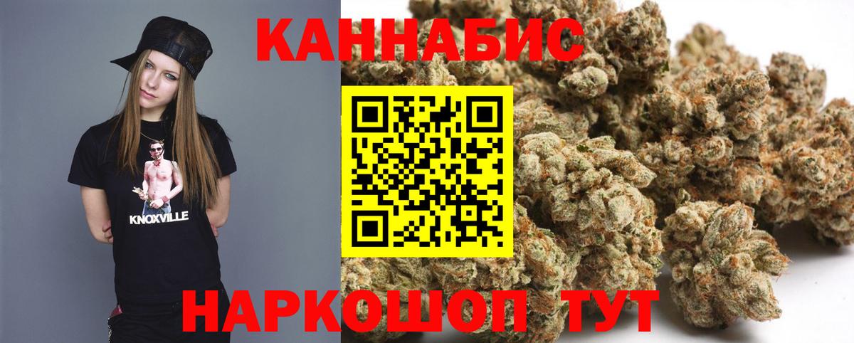 Канабис конопля  Каннабис SATIVA & INDICA  Сатка 